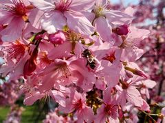 -福建鲤鱼洲酒店