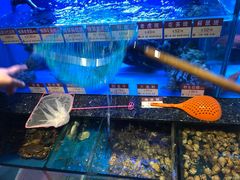 -协成海鲜火锅(海洋花园店)