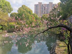 -南汇桃花村