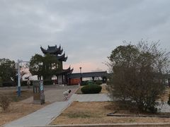 -巢湖姥山岛