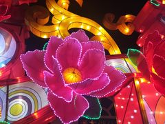 -青龙湖公园