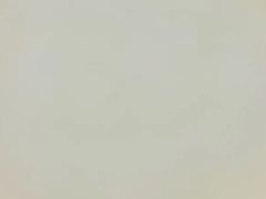 -满记甜品(静安大悦城店)