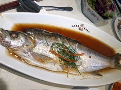 新安江野生大白鱼-徽珍源(龙茗路店)