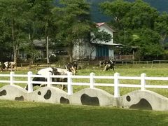 android_upload_pic-瑞穗牧场