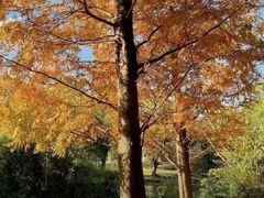 -贵阳市花溪国家城市湿地公园