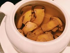 松茸汤-广州文华东方酒店·江-由辉师傅主理