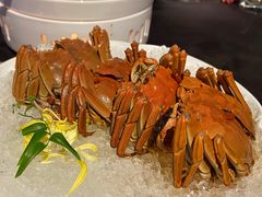 -蟹榭·本帮江浙菜·蟹宴(五角场合生汇商场店)