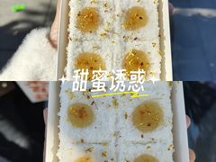 -天主教堂(莲池区)