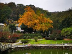-岳麓山风景名胜区
