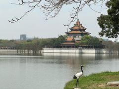 -顺峰山公园