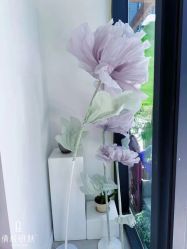 -倩极·精研痘敏肌管理