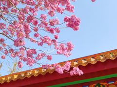 -天竺岩寺