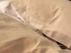 -南京维景国际大酒店(南京博物院店)