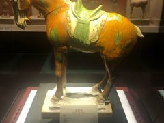-宁夏博物馆