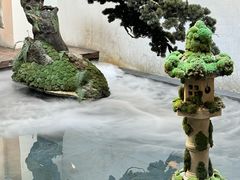 -觀芷隐轩