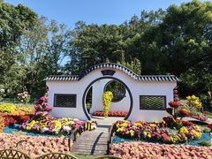 -上海共青森林公园