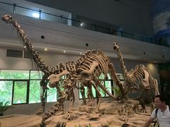 -自贡恐龙博物馆