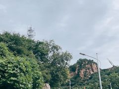 -大岭沟猕猴桃谷风景区