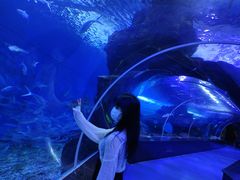 -多彩贵州城极地海洋世界