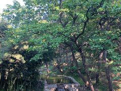 -红螺寺
