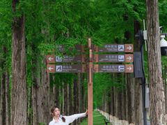 -黄海国家森林公园