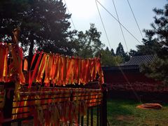 -普乐寺