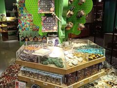 -Behring World of Animals(上海自然博物馆店)
