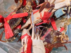 三点蟹-杨梅坑渔村海鲜餐厅