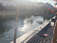 -DGE季风钓虾营地·团建·聚会