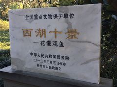-西湖游船