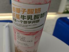 -吴山山·椰子酸奶(天河南店)