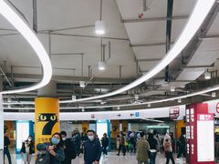 -东方体育中心(地铁站)