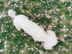 -郑东新区龙湖公共艺术中心