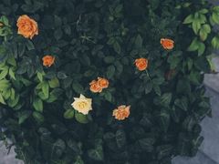 -富士相机·拍立得instax(三里屯soho商场店)