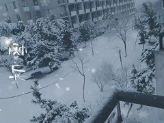 -安徽大学(磬苑校区)