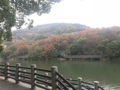 -白马涧龙池景区