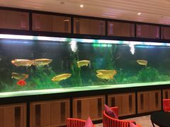 -弘安丽水温泉酒店