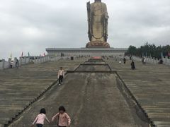 -中原大佛景区