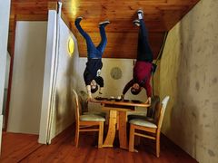 -金山农民画村-枫泾波兰倒置屋