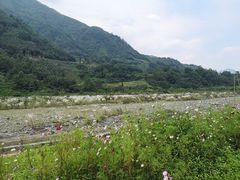 -虹口漂流