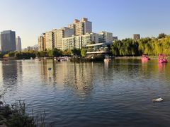 -雁滩公园