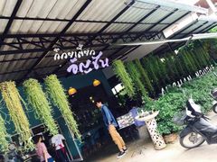 -蝶豆花蓝面条