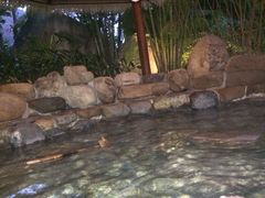 日月谷温泉渡假村-厦门日月谷温泉渡假村