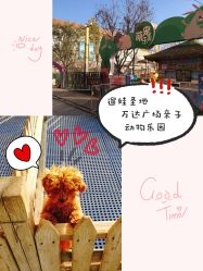 -萌宠亲子动物乐园(槐房万达店)