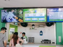 -圣淘沙天际线斜坡滑车