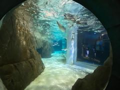 -成都浩海立方海洋公园