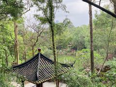 -顺峰山公园