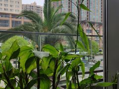 -斯比特花园意大利餐厅(缤谷广场店)