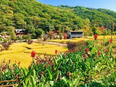 -参仙谷生态旅游度假区