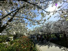 -苏州上方山国家森林公园